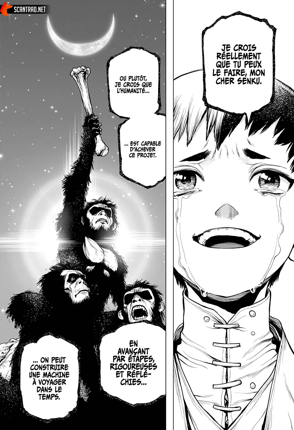 Lecture en ligne Dr Stone 232 page 19