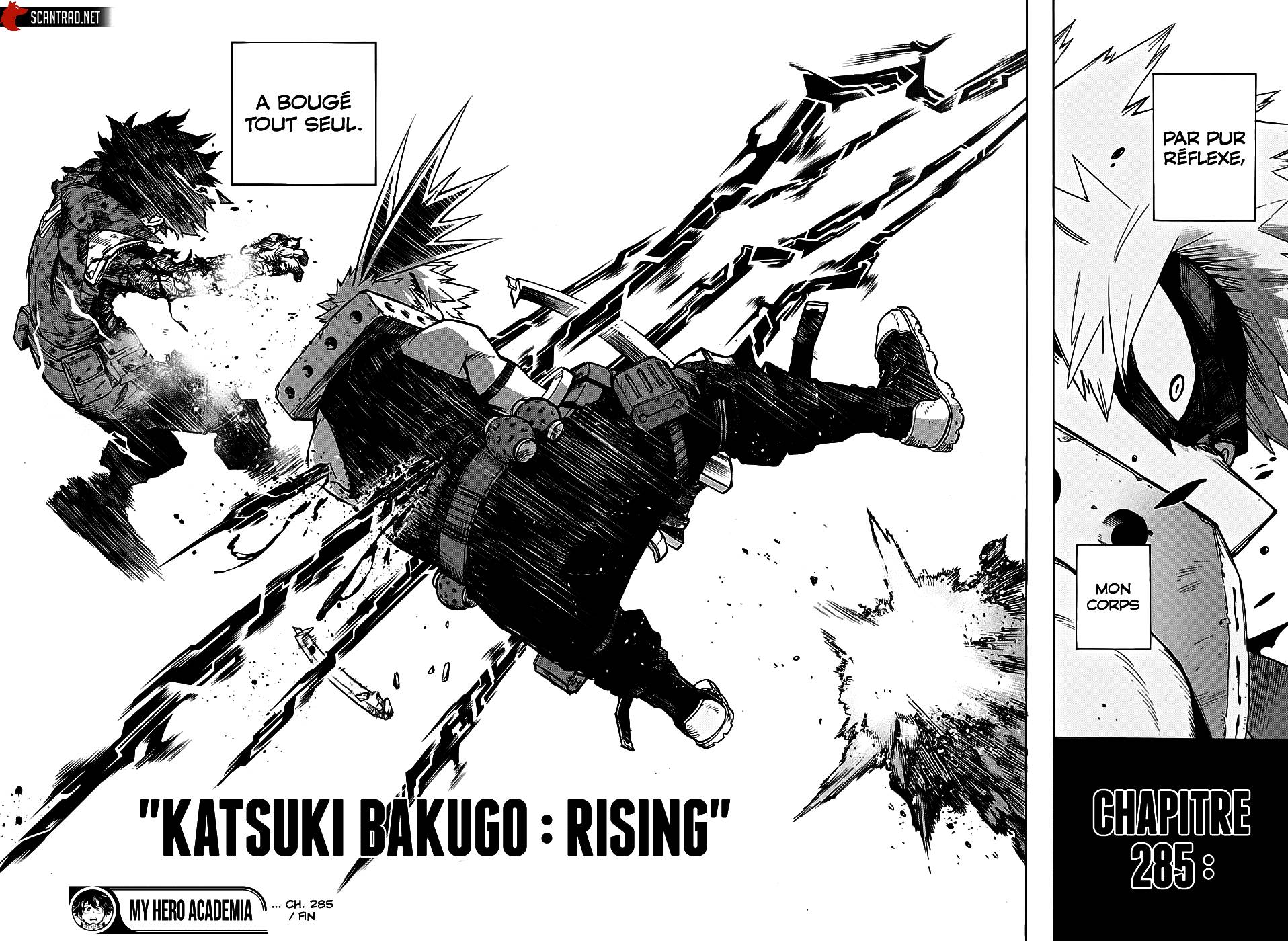 Scan My Hero Academia 285 Page 17