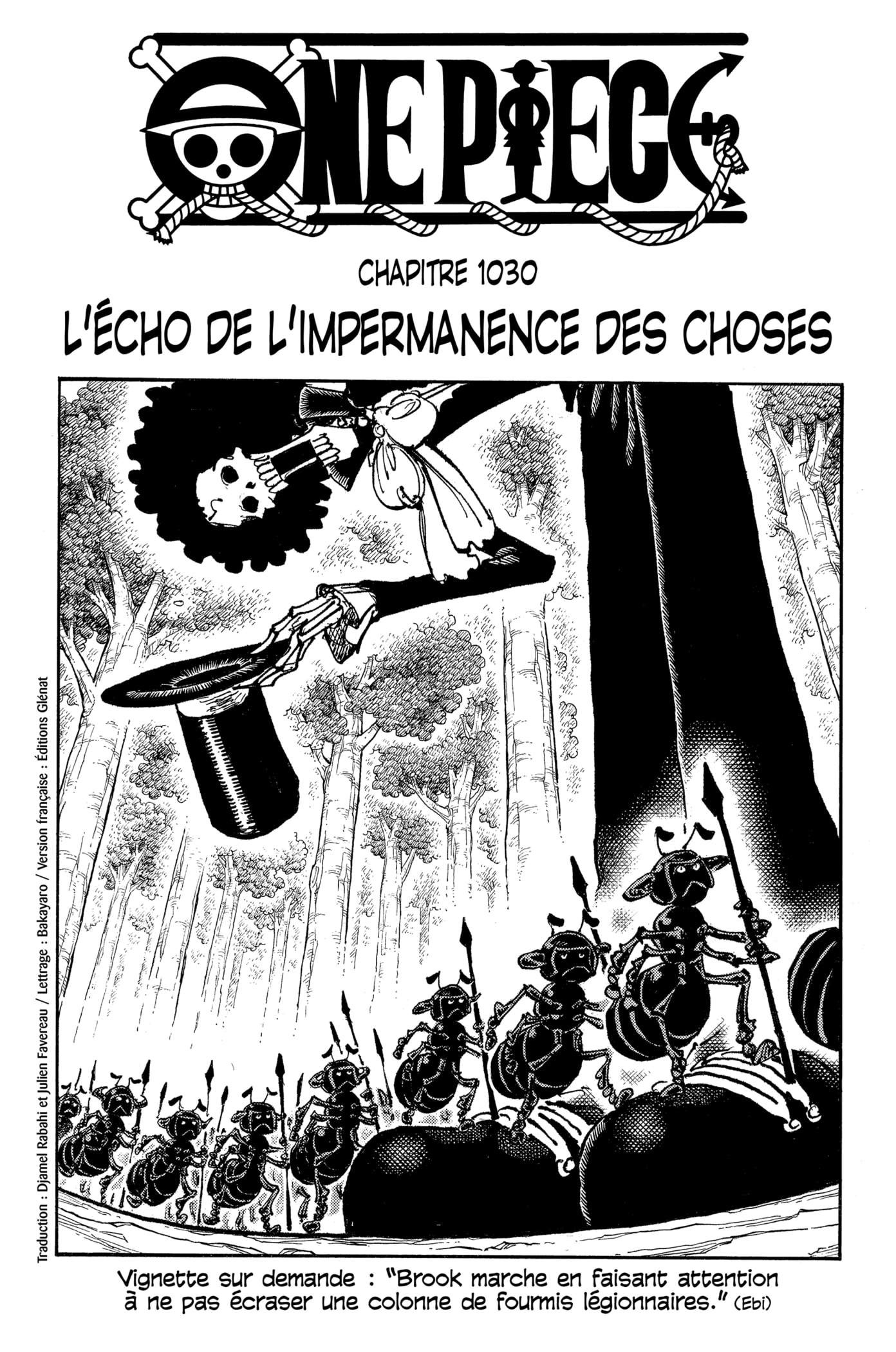 Lecture en ligne One Piece 1030 page 1