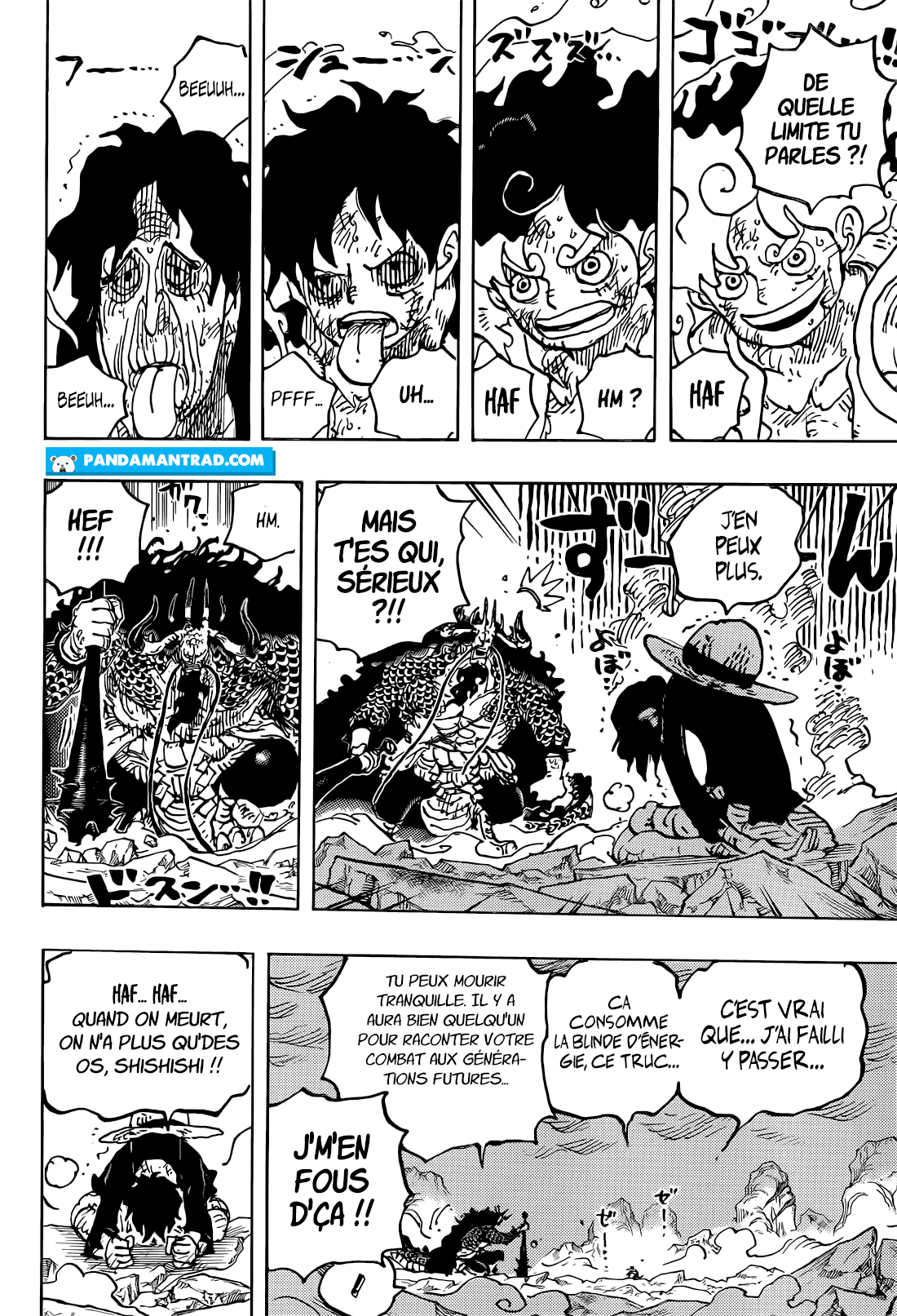 Lecture en ligne One Piece 1045 page 13