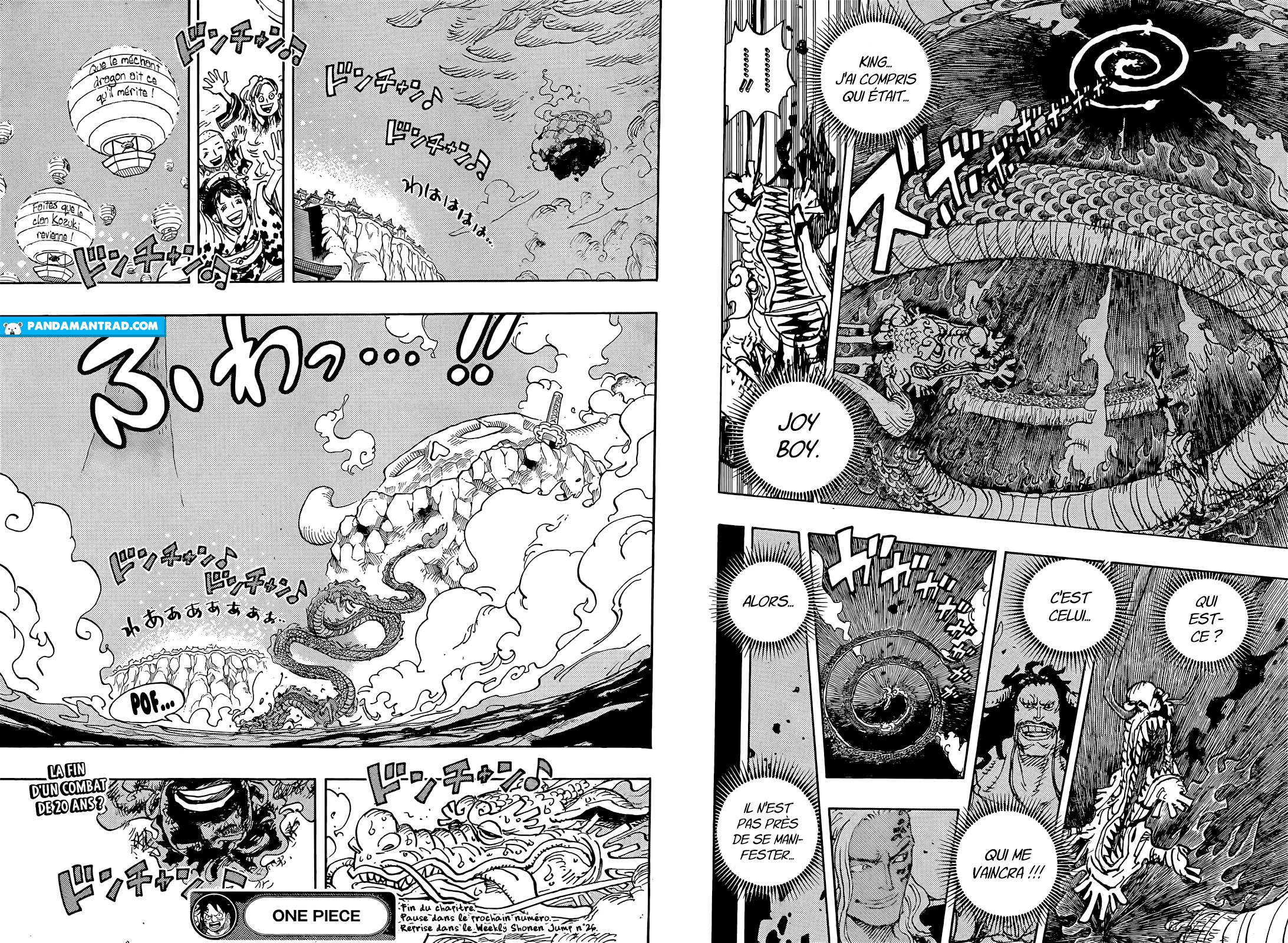 lecture en ligne One Piece 1049 page 13