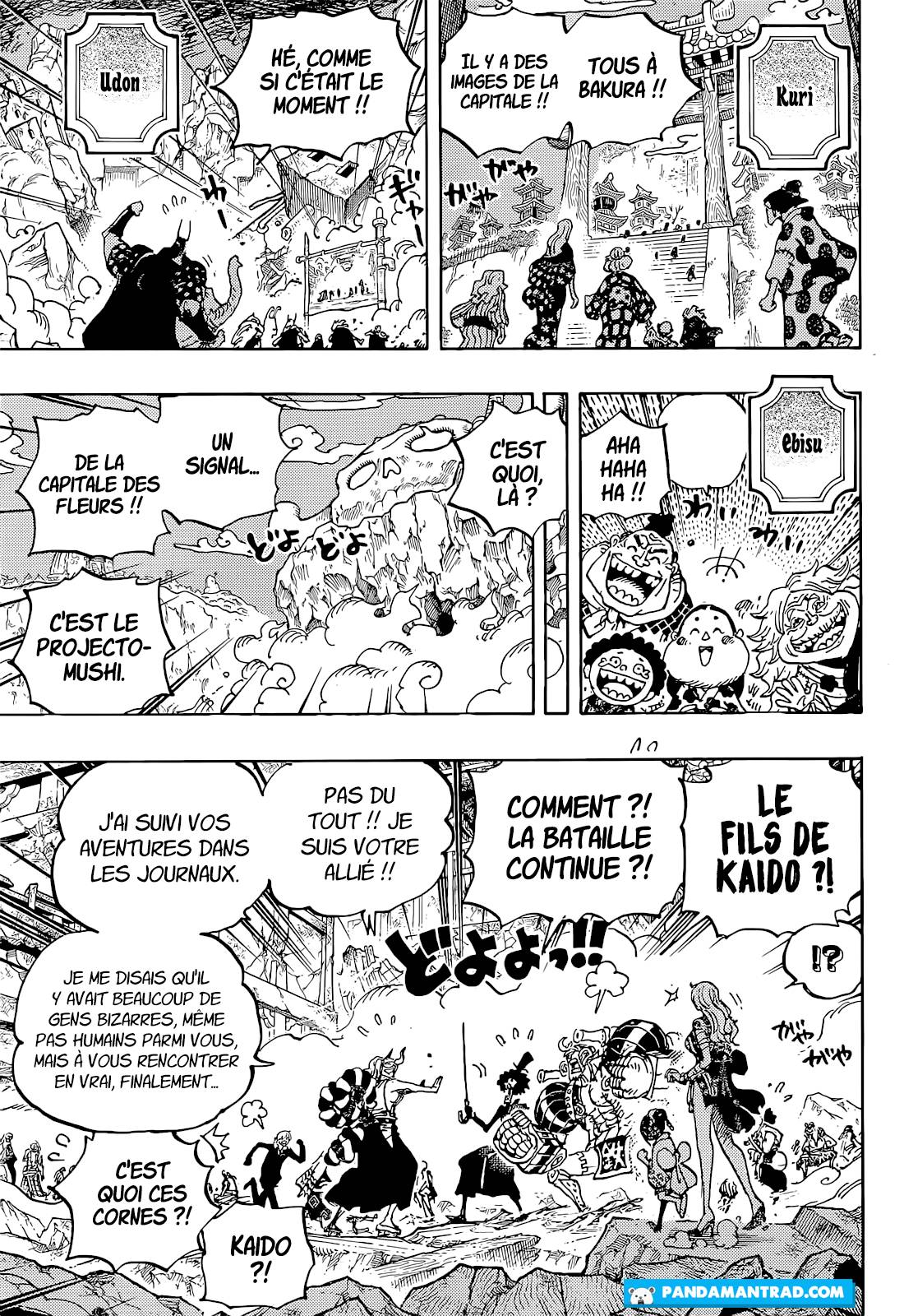 Lecture en ligne One Piece 1051 page 5