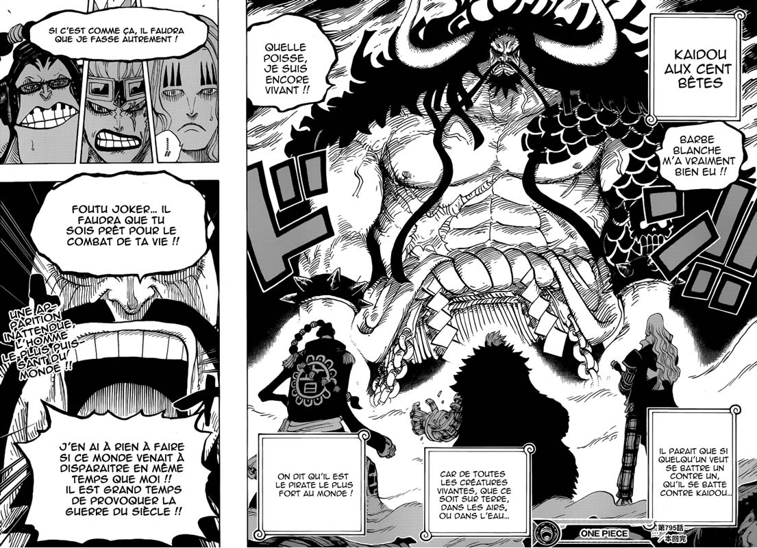 Lecture en ligne One Piece 795 page 17
