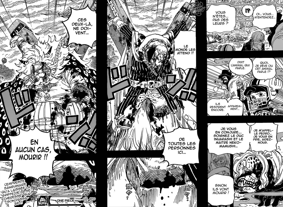 Lecture en ligne One Piece 810 page 17