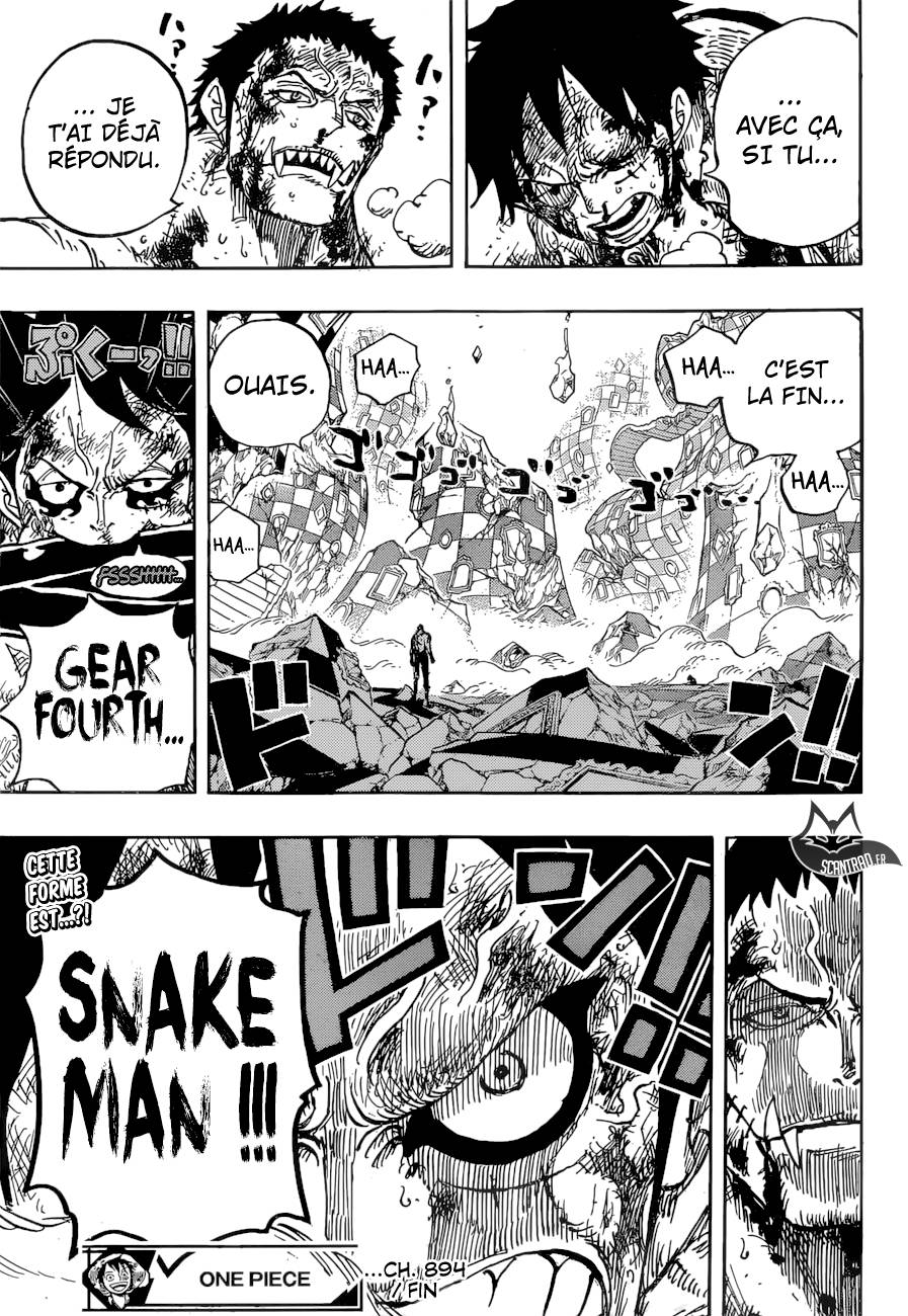 Lecture en ligne One Piece 894 page 17