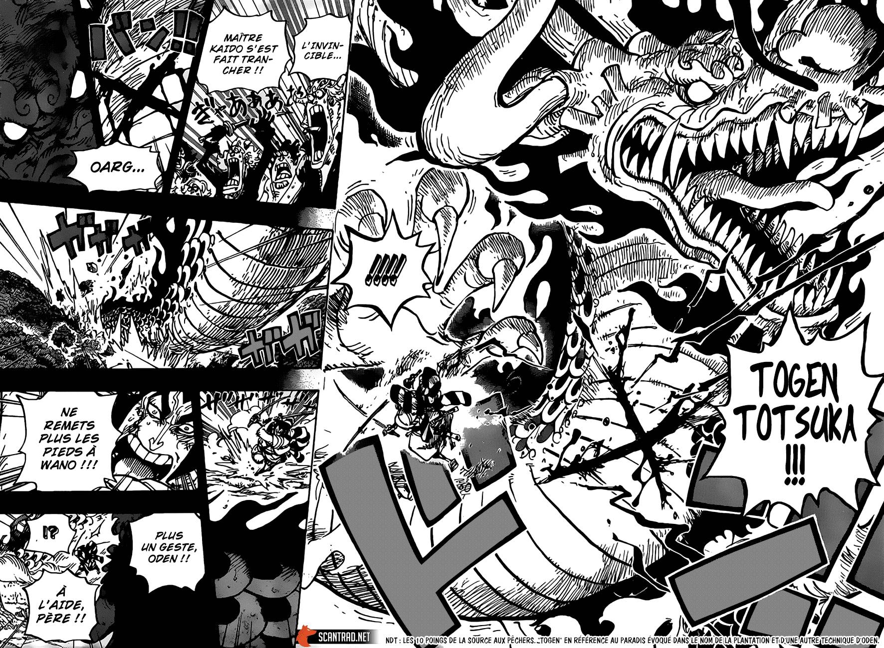 Lecture en ligne One Piece 970 page 13
