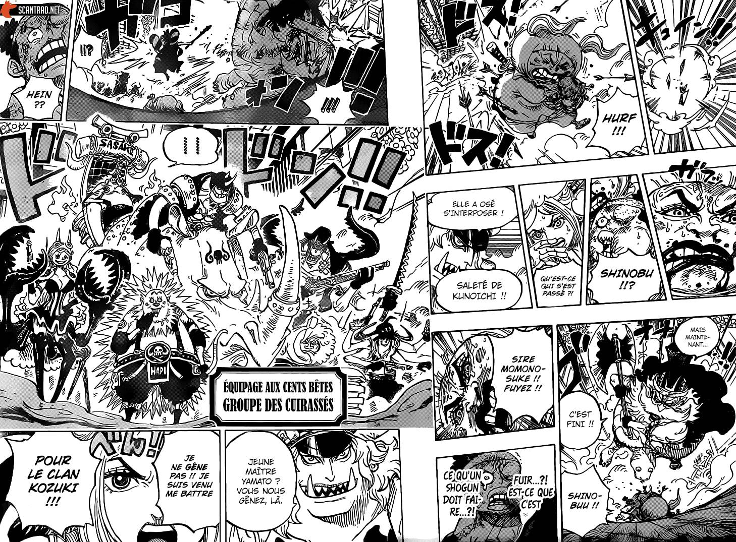 Lecture en ligne One Piece 993 page 13